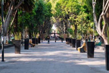 Puebla 'daki şehir parkı Paseo Bravo' da çok az insan karantina altında.