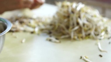 Odak dışında Cook'un görünümünü kıstırma kökleri taze mung fasulye filizi arka planda kapalı eller