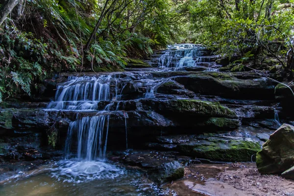 Leura Cascades, mavi Dağları Milli Parkı, Avustralya