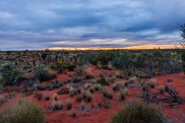 Avustralya'nın taşrasında bir gün doğumu