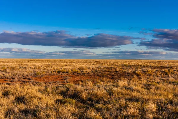 A landscape in the Australian Outback