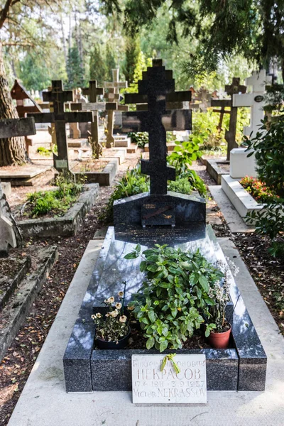 Grób Rosyjskiego Powieściopisarza Wiktora Nekrasowa Rosyjskim Cmentarzu Sainte Genevieve Des — Zdjęcie stockowe