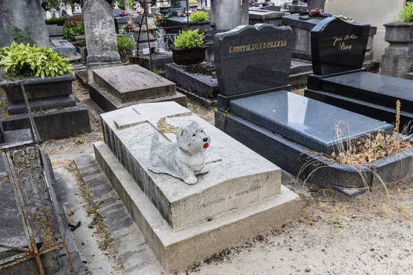 Надгробная Скульптура Собаки Шпица Кладбище Пер Лашез Париж — стоковое фото