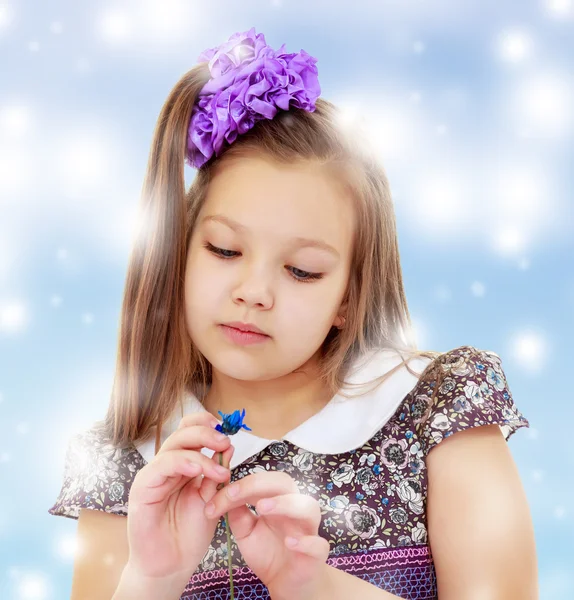 Beautiful little girl looking at blue flower — Stock Photo, Image