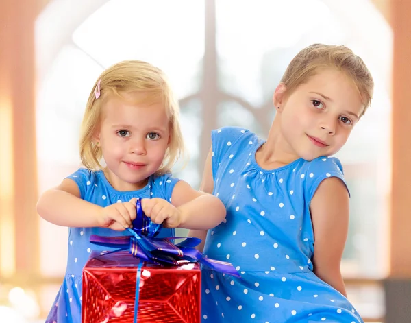 Bir hediye ile iki kız kardeş — Stok fotoğraf