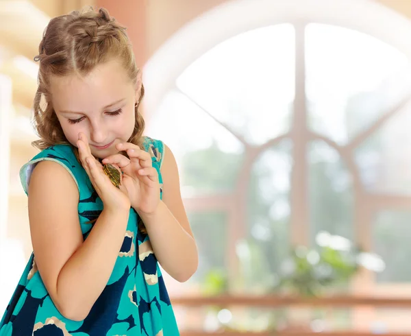 小女孩手里拿着一只小海龟. — 图库照片