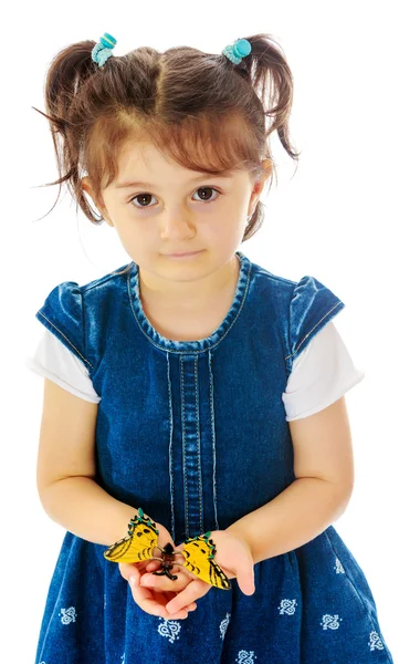 Маленькая девочка держит в руках большую бабочку . — стоковое фото