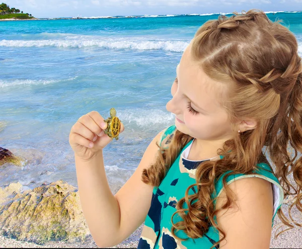 Menina segurando nas mãos uma pequena tartaruga . — Fotografia de Stock