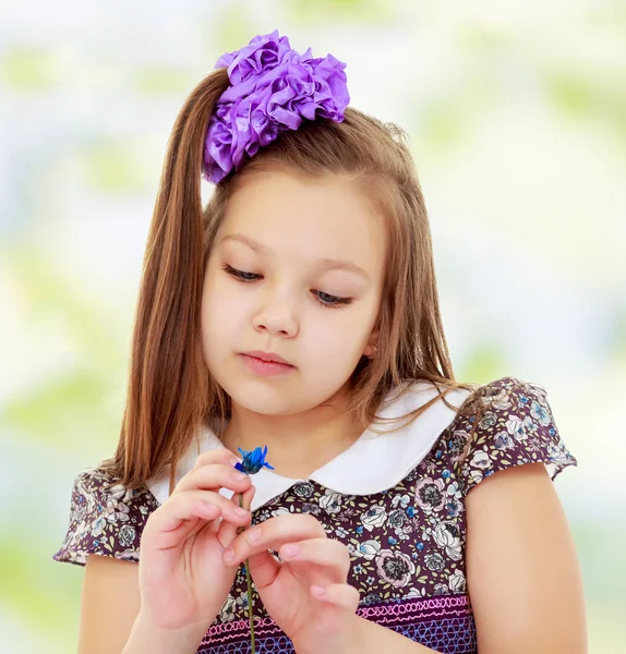 Beautiful little girl looking at blue flower — Stock Photo, Image