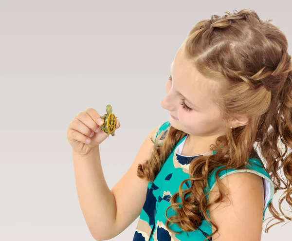 Little girl holding in hands a small turtle. — Stock Photo, Image