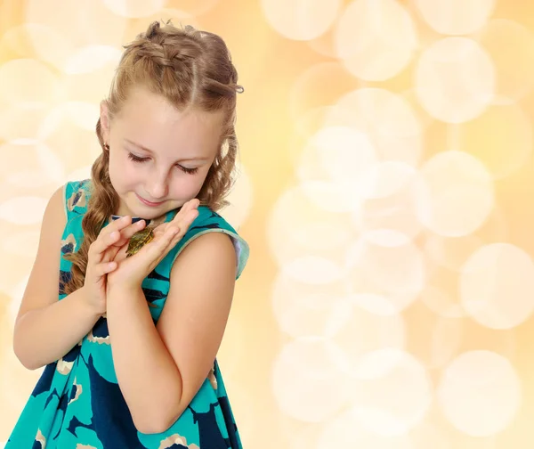 Küçük kız elinde tutan küçük bir kaplumbağa. — Stok fotoğraf