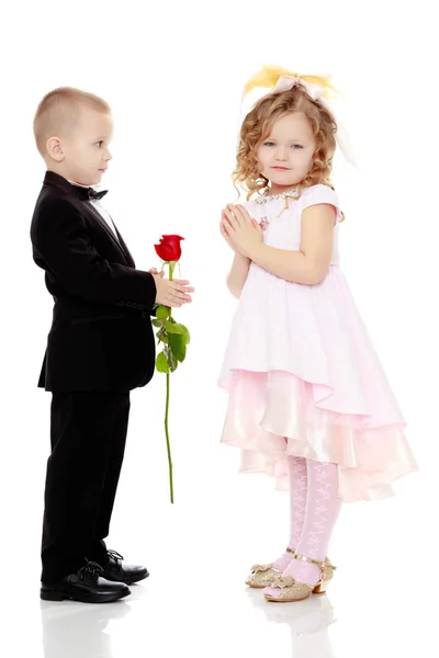 The boy gives the girl a flower. — Stock Photo, Image