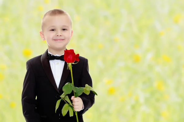 Mały chłopiec z róży kwiat. — Zdjęcie stockowe