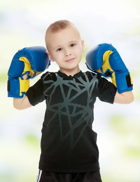 拳击手套的小男孩. — 图库照片