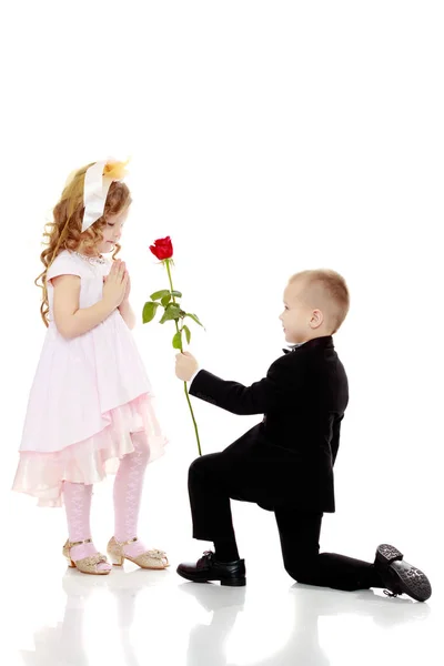 The boy gives the girl a flower. — Stock Photo, Image