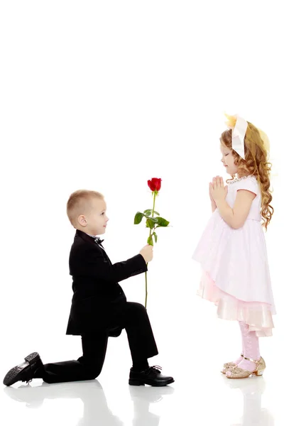 The boy gives the girl a flower. — Stock Photo, Image