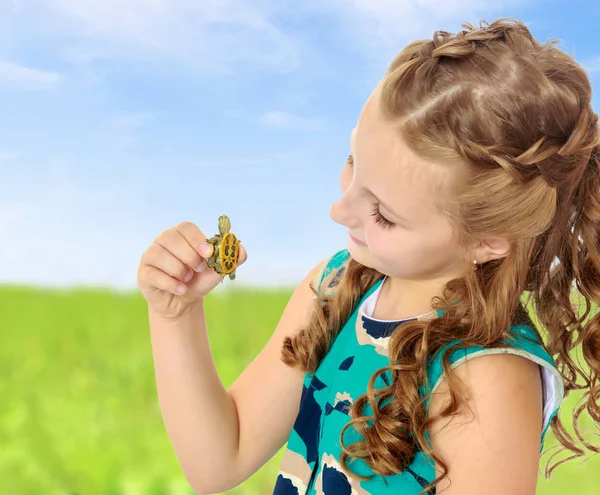 Malá holčička drží v rukou malé želvy. — Stock fotografie