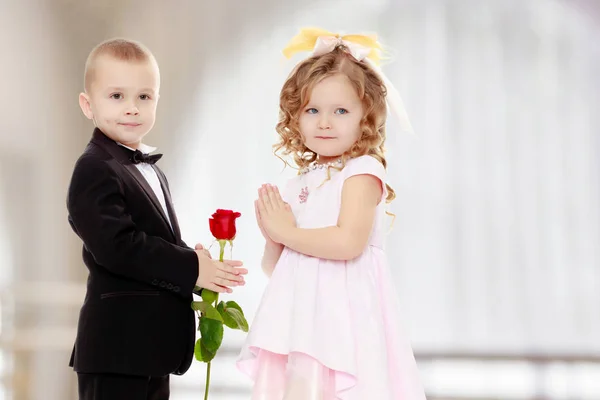 O menino dá à menina uma flor . — Fotografia de Stock