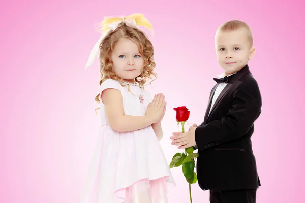 O menino dá à menina uma flor . — Fotografia de Stock