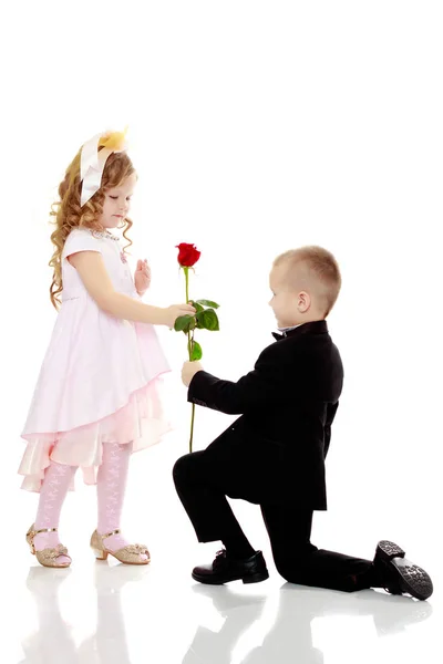 The boy gives the girl a flower. — Stock Photo, Image