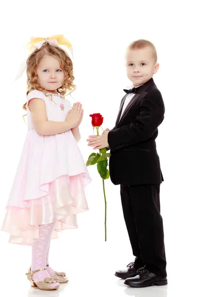 O menino dá à menina uma flor . — Fotografia de Stock