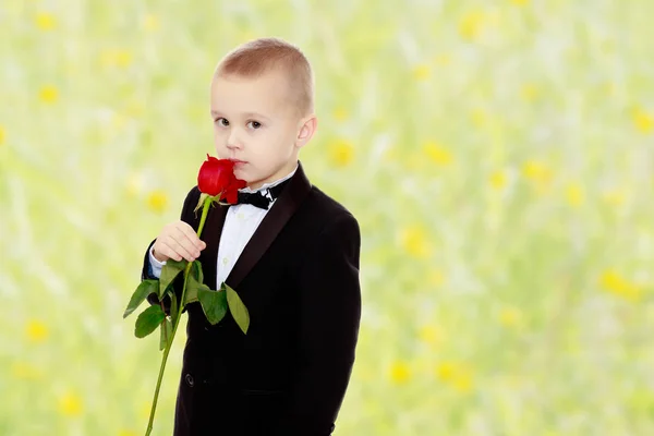 Маленький мальчик с цветком розы . — стоковое фото