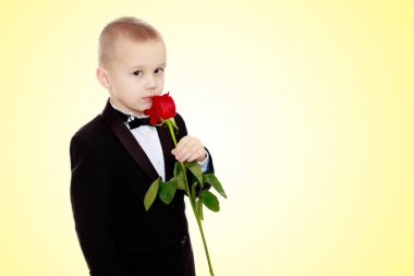 Gül çiçek küçük çocuk.