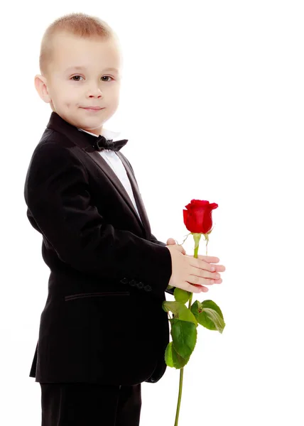 The boy gives the girl a flower. — Stock Photo, Image