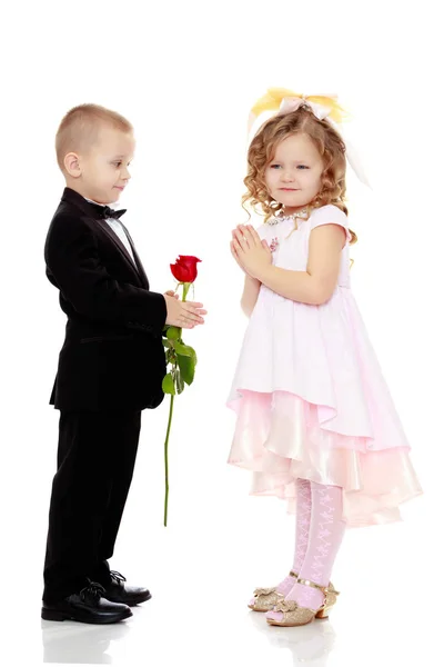 Хлопчик дарує дівчині квітку . — стокове фото