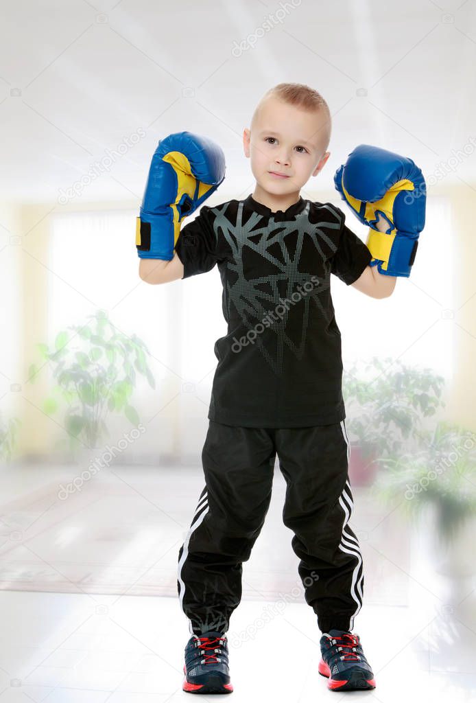 little boy in Boxing gloves.