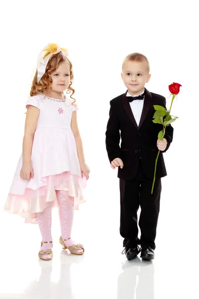 The boy gives the girl a flower. — Stock Photo, Image