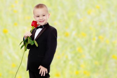 Gül çiçek küçük çocuk.