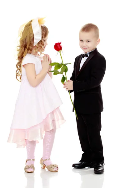 The boy gives the girl a flower. — Stock Photo, Image