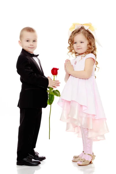 O menino dá à menina uma flor . — Fotografia de Stock