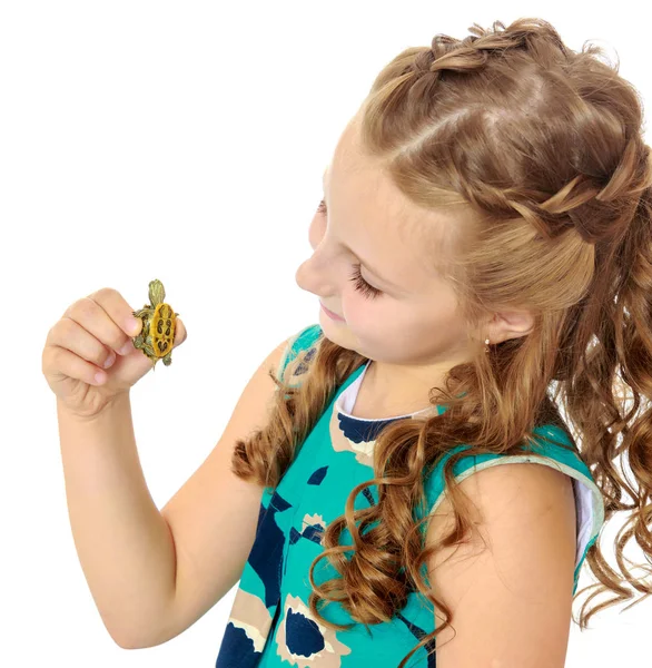 Menina segurando nas mãos uma pequena tartaruga . — Fotografia de Stock