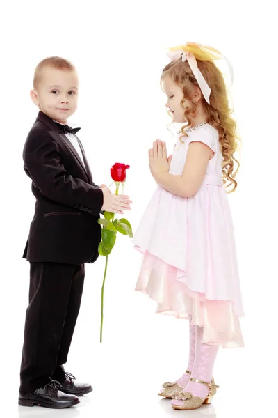 O menino dá à menina uma flor . — Fotografia de Stock