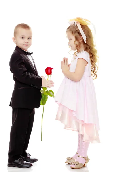 The boy gives the girl a flower. — Stock Photo, Image