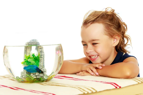 A menina olha para os peixes que nadam no aquário . — Fotografia de Stock