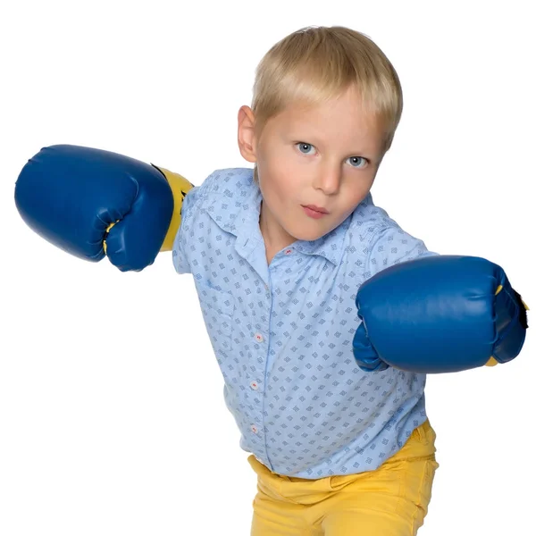 Kleiner Junge in Boxhandschuhen — Stockfoto