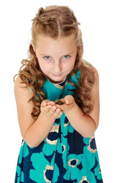 Dziewczynka trzyma w rękach małego żółwia. — Zdjęcie stockowe