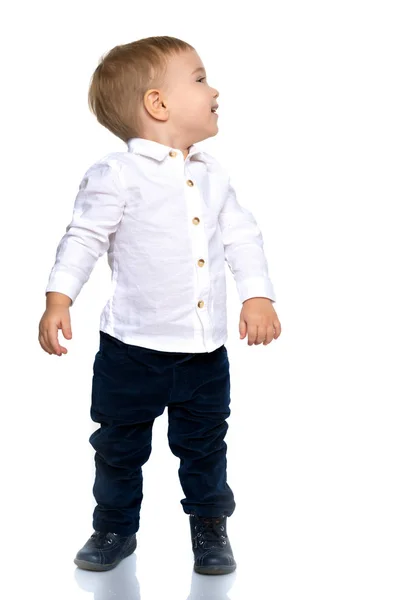 Handsome little boy in full growth — Stock Photo, Image