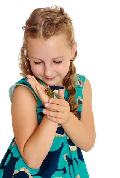 little girl holding in hands a small turtle.