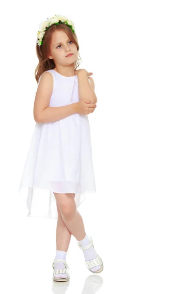 Elbiseli şık küçük kız. — Stok fotoğraf