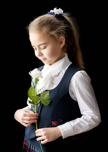 Little girl with a flower in her hand. — Stock Photo, Image