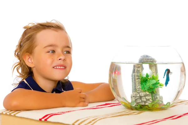 Das kleine Mädchen betrachtet den Fisch, der im Aquarium schwimmt. — Stockfoto