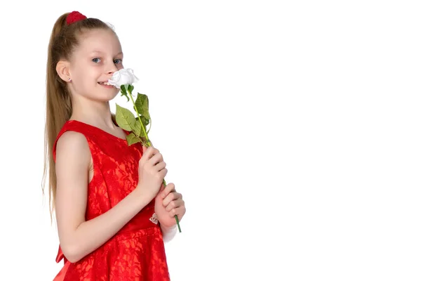 Bella ragazza con un fiore. — Foto Stock