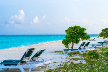 Maldivler 'de güzel bir tropik plajda şezlonglar.