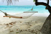 Картина, постер, плакат, фотообои "empty hammock between palms trees at sandy beach", артикул 316725480