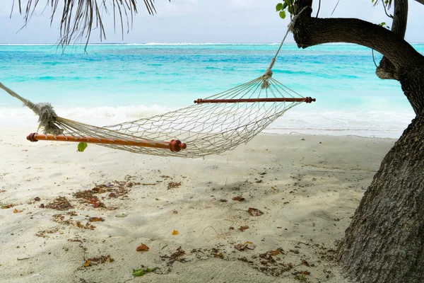 Leere Hängematte zwischen Palmen am Sandstrand — Stockfoto