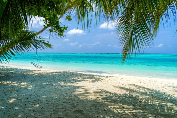 Empty hammock between palms trees at sandy beach — Stock Photo, Image